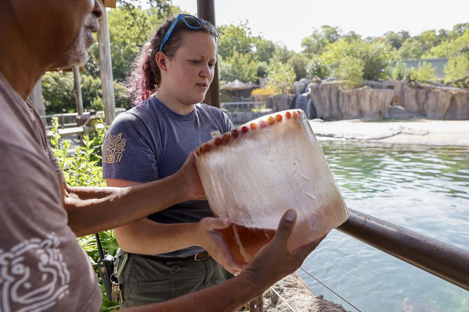 Lead zoologist Tracy Johnson (left) and senior zoologist Heather Ammann prepared to throw an...