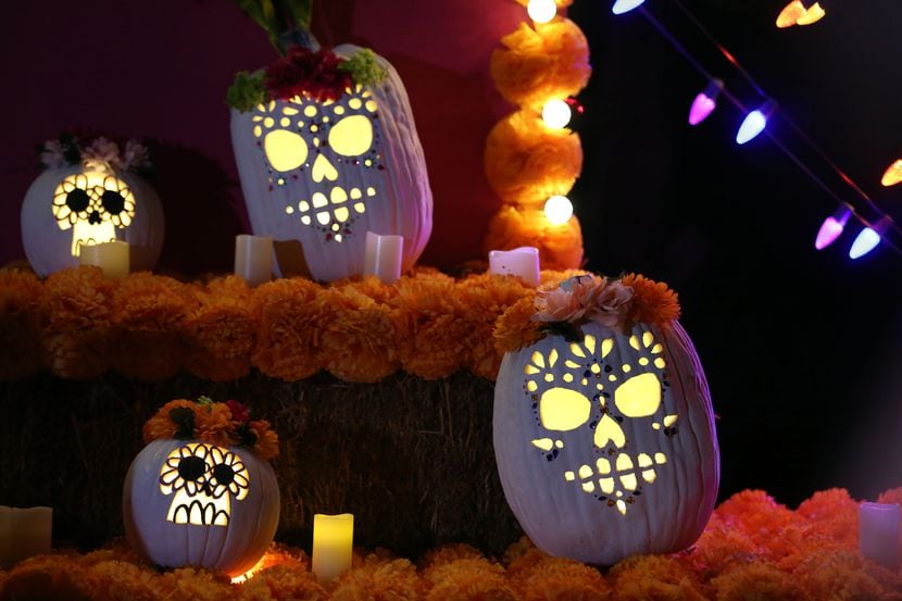 Pumpkin Nights at Howell Farms in Arlington has several pumpkin displays to explore.  