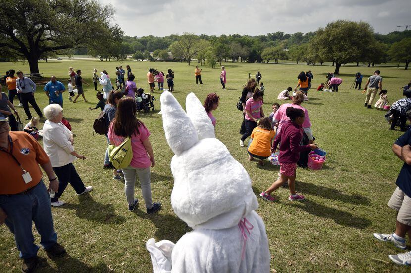 El Conejo de Pascua acompaña a niños con discapacidad visual durante una búsqueda de huevos...