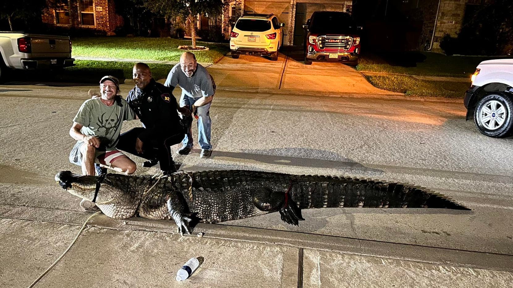 Authorities ranged a 12-foot alligator found in a Houston area neighborhood.