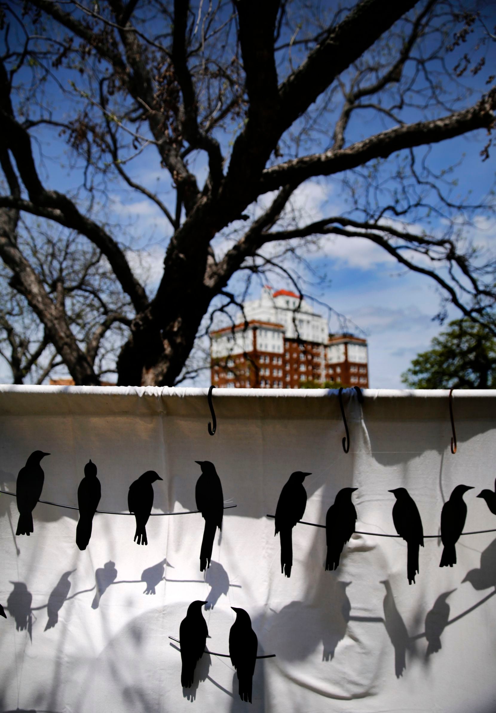 Steel Art Birds at Oak Cliff Earth Day FestivalApril, 2014Birds have always played a role in...