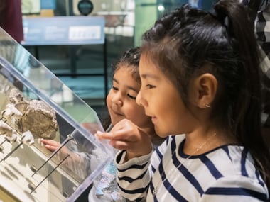 Two young girls examine fossils behind a glass compartment at the Perot Museum.