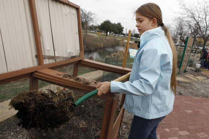 Volunteer Emma Livingston turns a compost pile at Plano Environmental Education Center in...