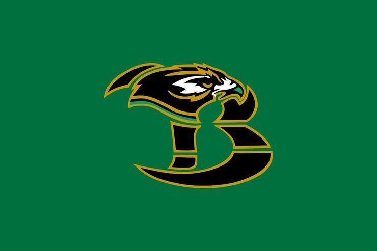 Birdville logo.