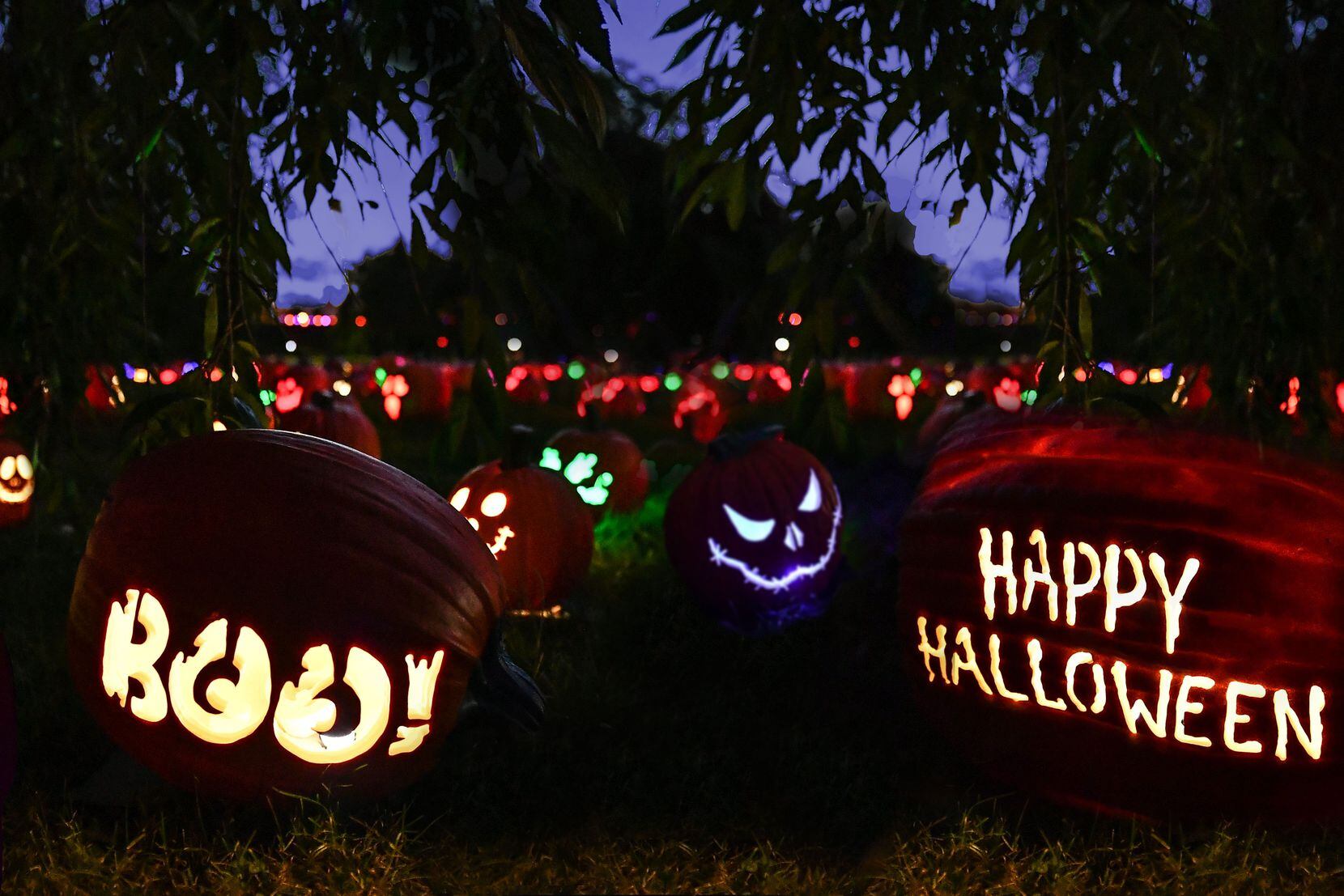 Spooky Offerings and Festivities Kick Off for Halloween