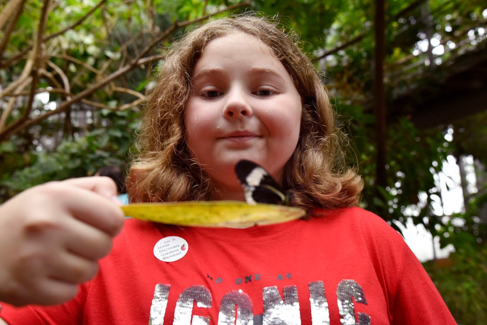 Emma Liles, 10, of Houston gets a close look at a butterfly in the Rosine Smith Sammons Butterfly House and Insectarium at Texas Discovery Gardens.