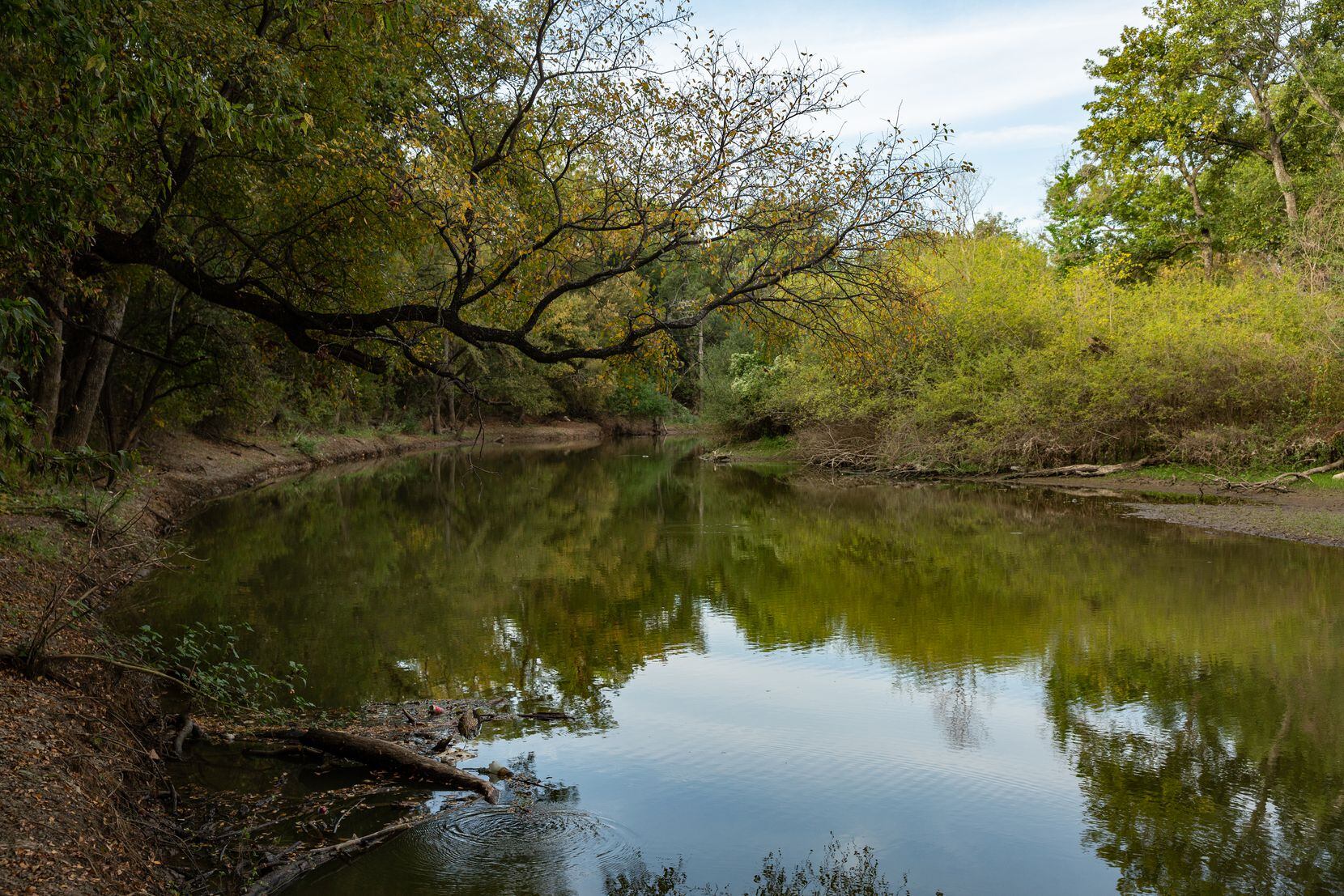 This stretch of waterway, part of the original channel of the Trinity River’s Elm Fork,...