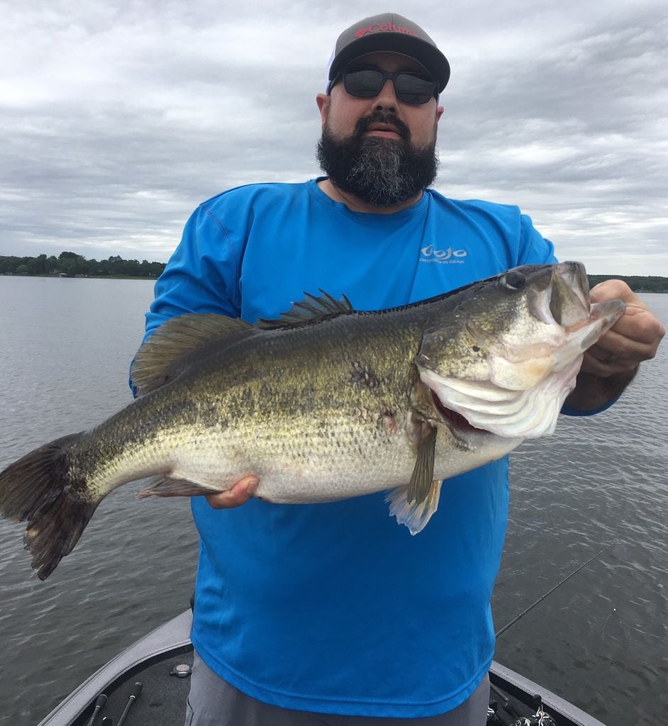 Robert Scruggs displays the 12.81-pound bass he caught from Lake Athens last May. It is is one of several double-digit bass reported around the state since last spring.