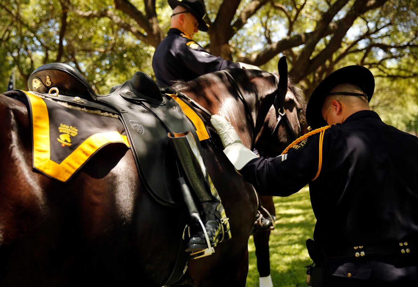 A lone boot is placed backwards in the stirrups of Dallas police riderless horse Cash,...