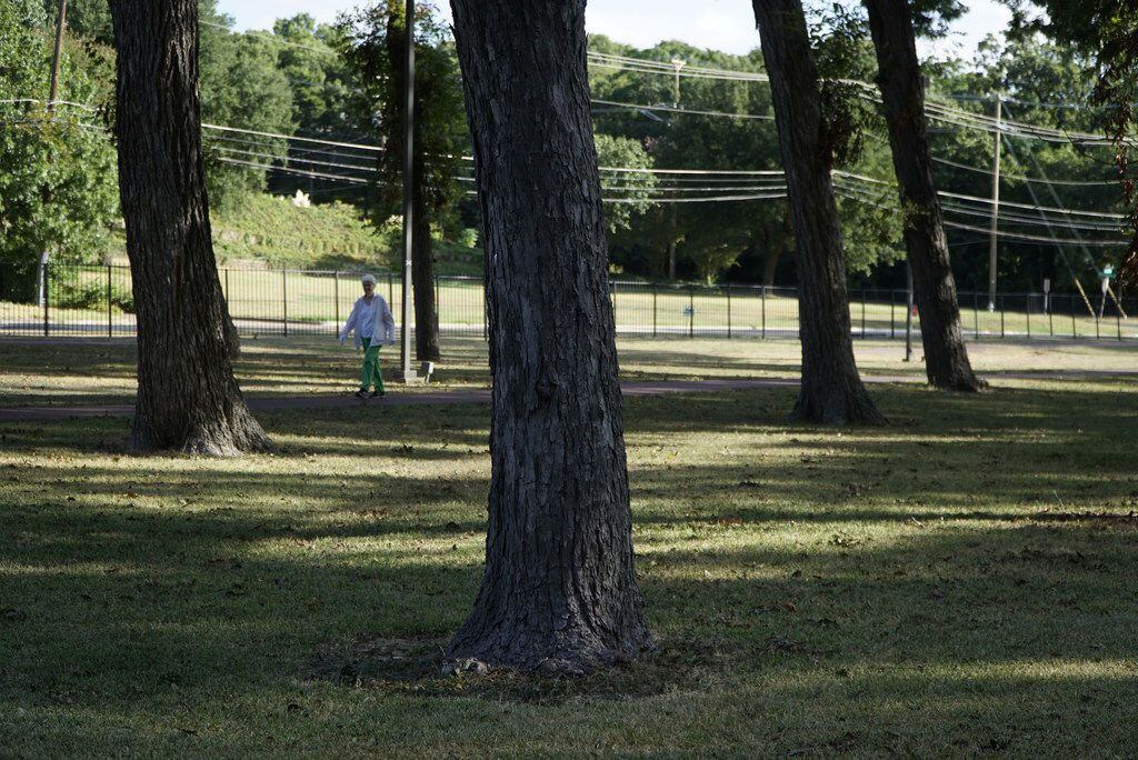 Although the pecan grove and its surrounding green space sit on Methodist Dallas Medical...