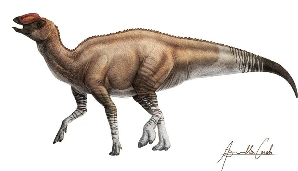 An artist's depiction shows what the Aquilarhinus palimentus might have looked like. Researchers recently identified the new species of dinosaur based on fossils found decades ago in Big Bend National Park.