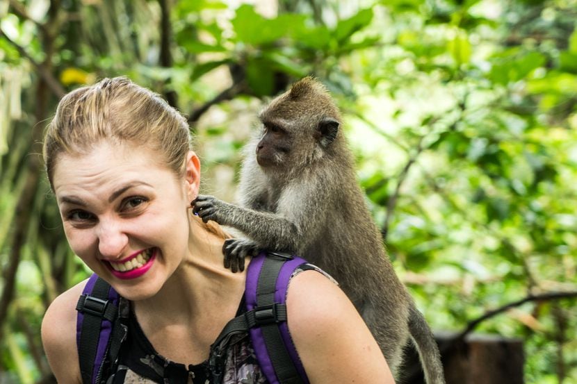 QUIRKY WORLD  There's no monkey business in taking a selfie