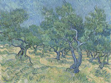 Vincent van Gogh, Olivar, julio de 1889, óleo sobre lienzo.  La obra forma parte de la exposición "Van Gogh y los olivares," Proyección en el Museo de Arte de Dallas del 17 de octubre de 2021 al 6 de febrero de 2022.