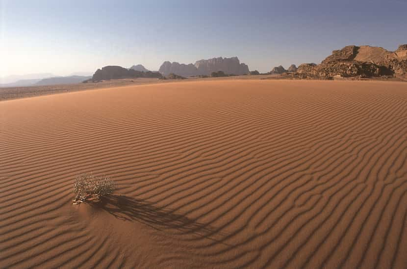 Sand dunes are shaped by the wind in Wadi Rum.