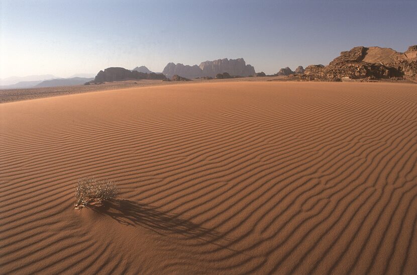 Sand dunes are shaped by the wind in Wadi Rum.