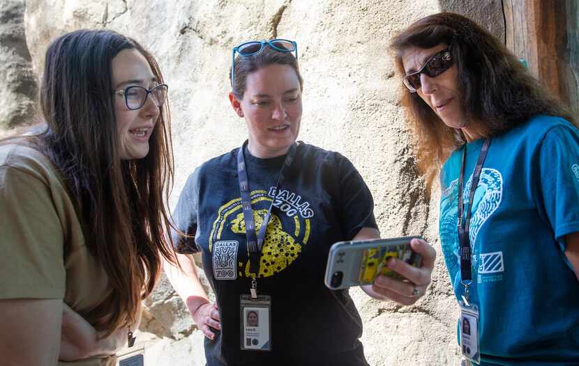 Dallas Zoo education instructor Elizabeth Fletcher (left), carnivore supervisor Lora...