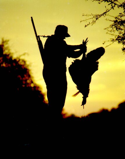 Spring is the breeding season for wild turkeys. The allure for spring turkey hunters is the...