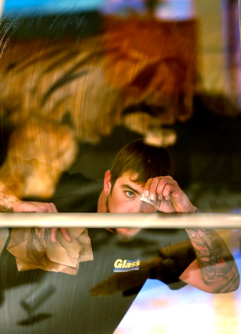 Matt Harris cleans the glass  at Ellie May’s exhibit in preparation for its debut at the...