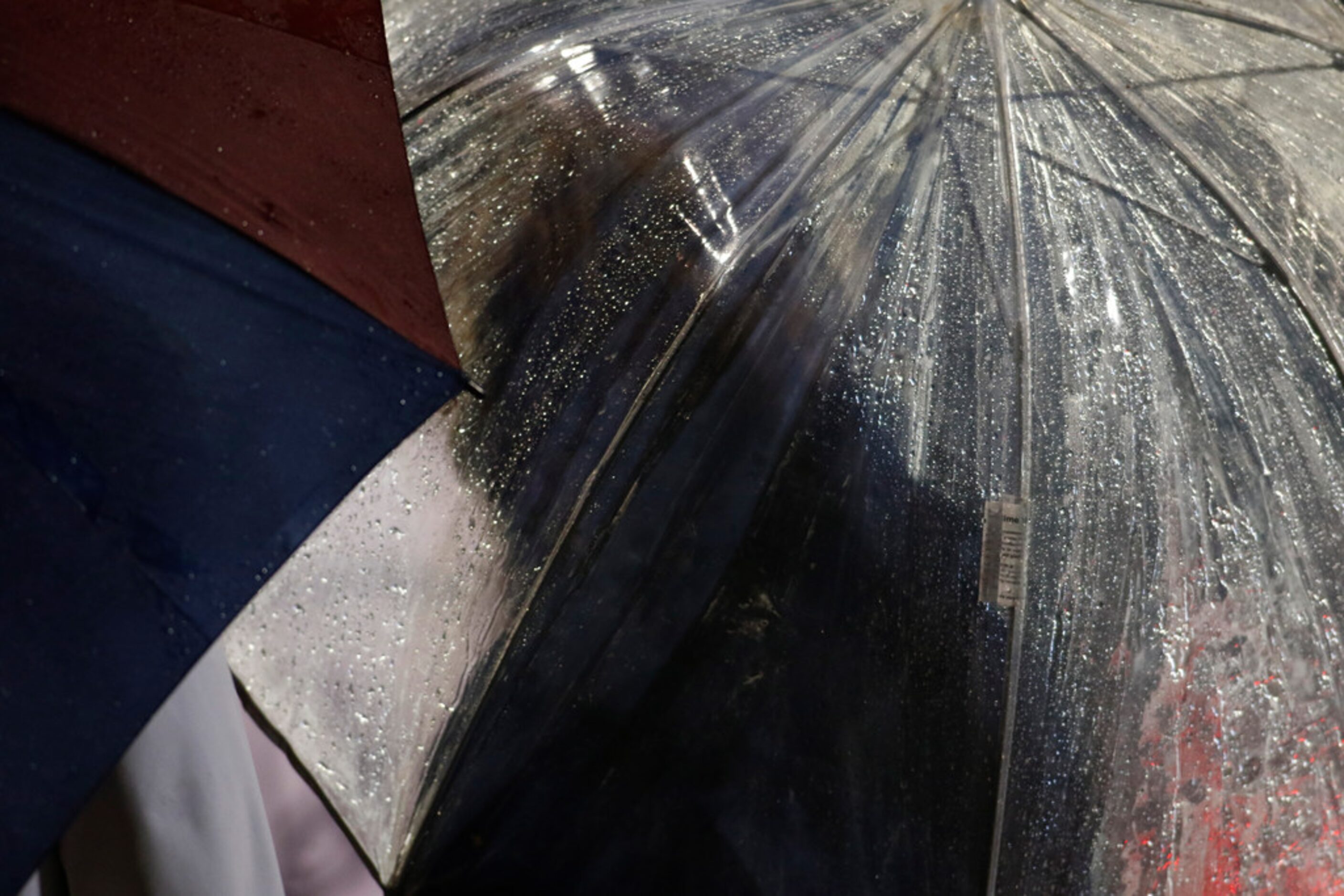 A Richardson Pearce fan stays dry under a clear umbrella during the first half of the...