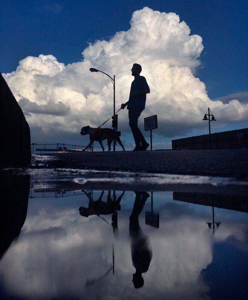 With rain clouds building to the east of downtown Dallas, Zachary Adler takes his boxer-mix...