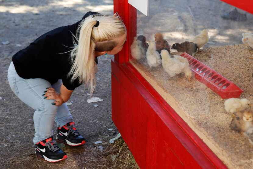 That's right, Caylea. Talk to the chicks because no one else seems to be listening on...