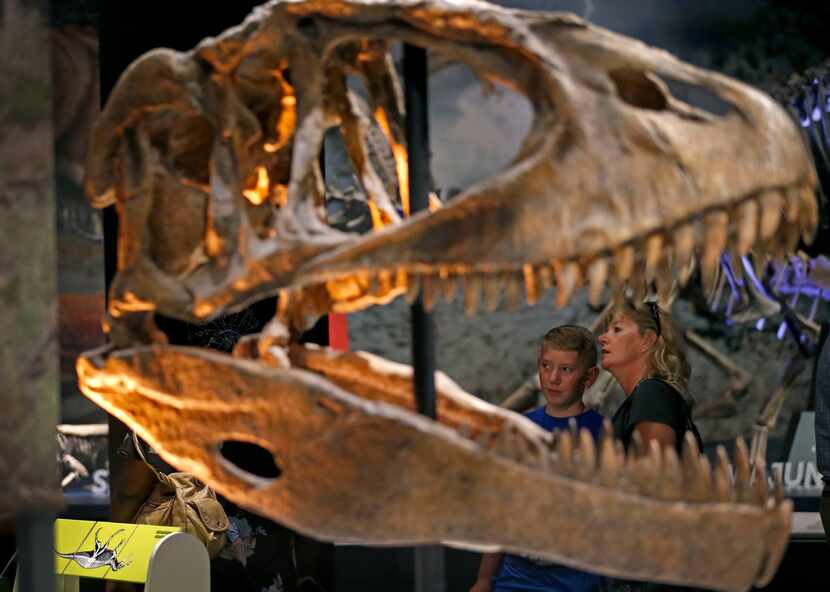 Dawn Dwyer (right) and her 12-year-old son, Jax, get a close look at Tyrannosaurus Rex...