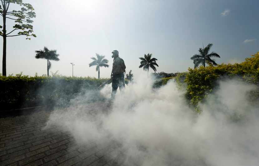  A health ministry worker fumigated for Aedes aegypti mosquitoes in advance of the Carnival...