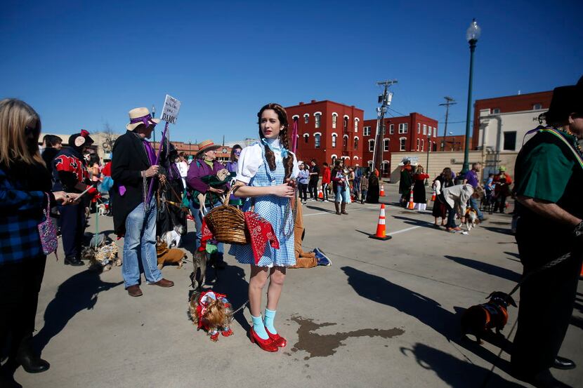The staging area for the 14th annual Krewe of Barkus parade in downtown McKinney, Texas,...