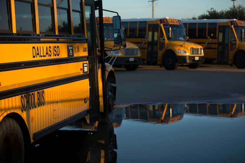 Autobuses del DISD en un estacionamiento del distrito escolar.