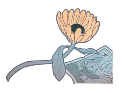 Illustration of a flower next to a photo