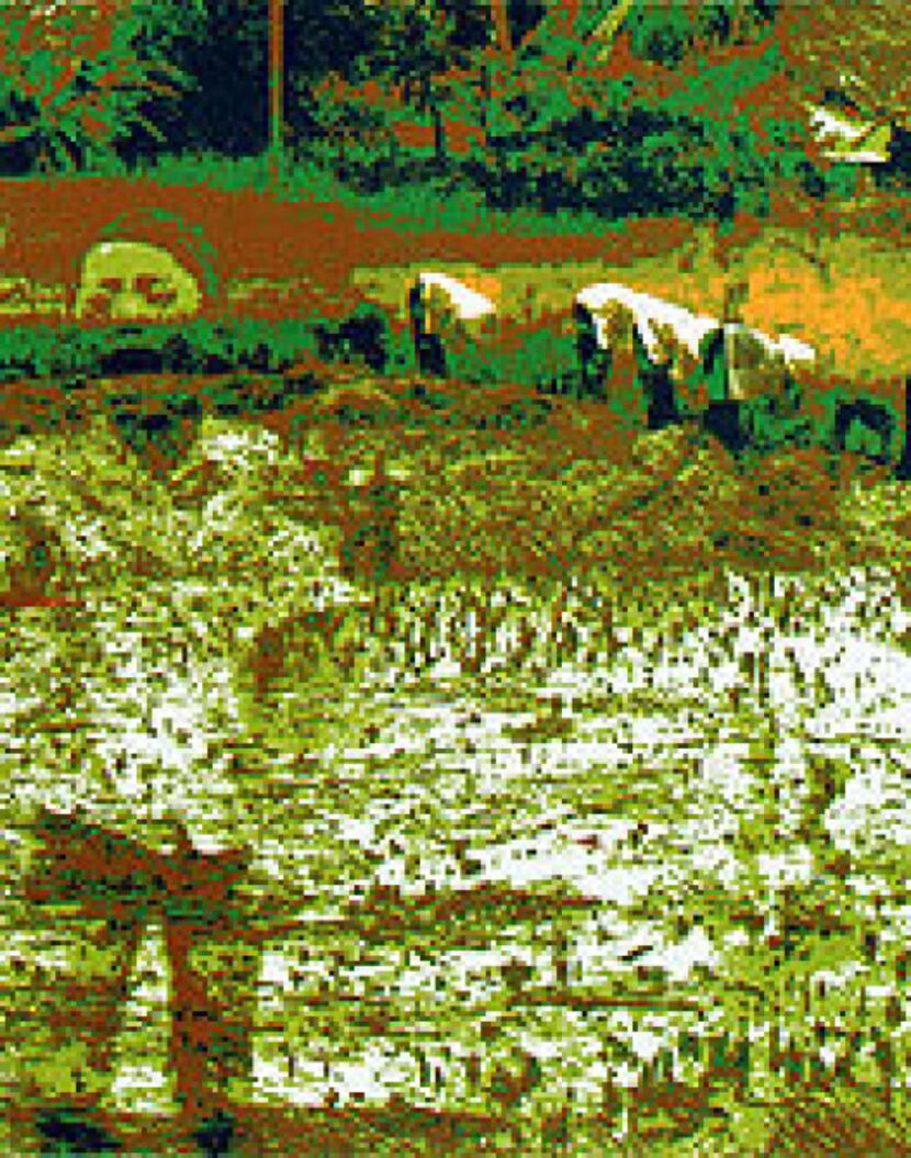 Du Chau, "Ricefield, 2010," silkscreen printing on paper. The print will be on display as...