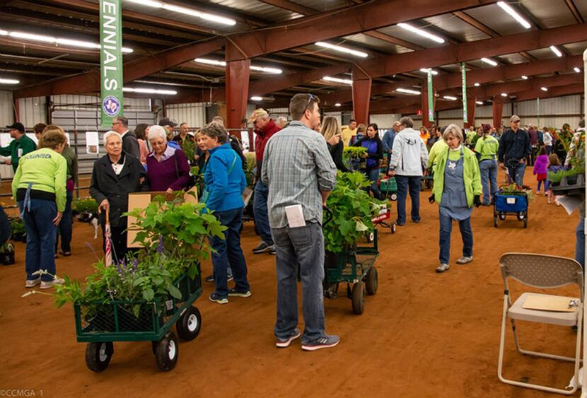 The 16th annual CCMGA plant sale offers hundreds of varieties of plants as well as native...