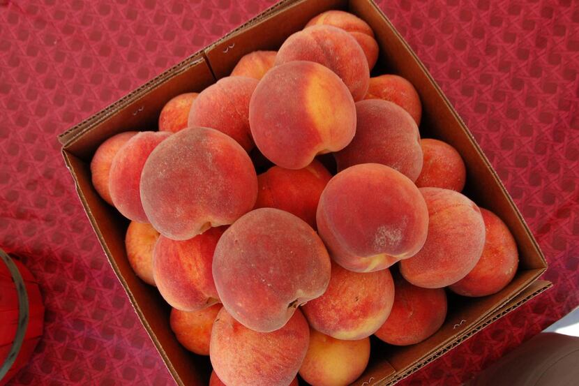 With peach season  just starting, Richard Strang of Ham Orchards says the crop needs more sun.