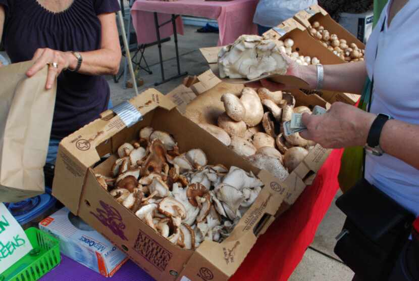 A customer picks out her preferred mushroom at the Kitchen Pride Mushroom Farm stand at the...