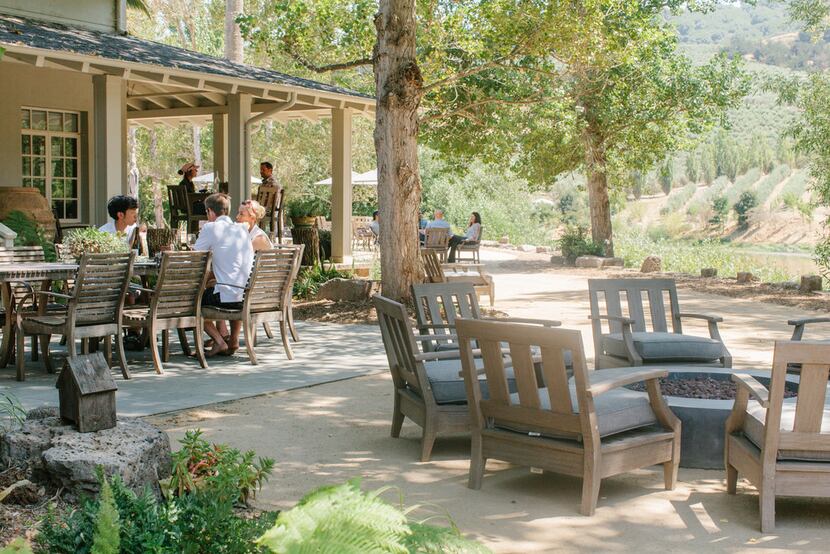 McEvoy Ranch offers indoor and outdoor (pictured here) olive and wine tastings.