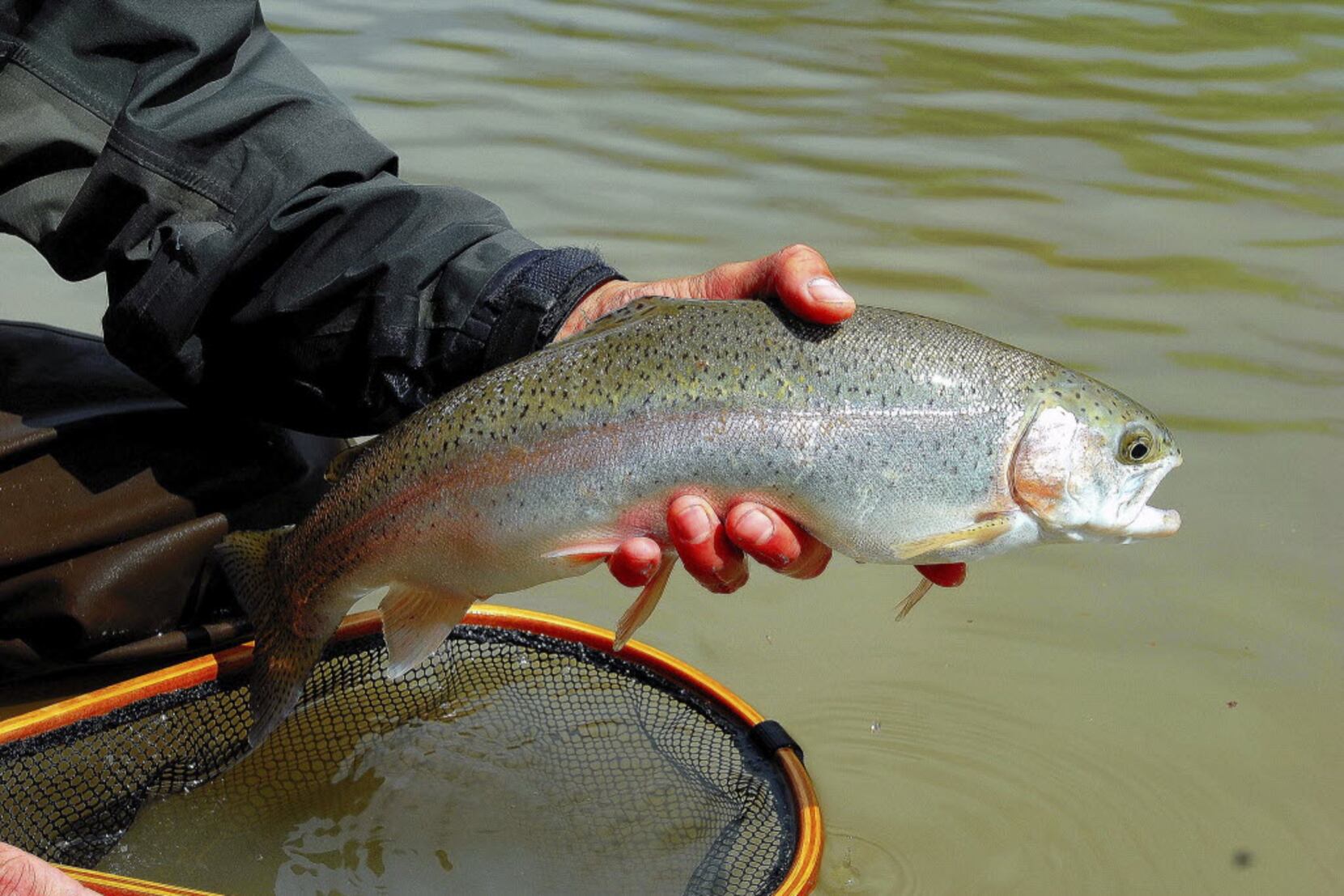 Outdoors notebook: Trout fishing brings them to the Guadalupe