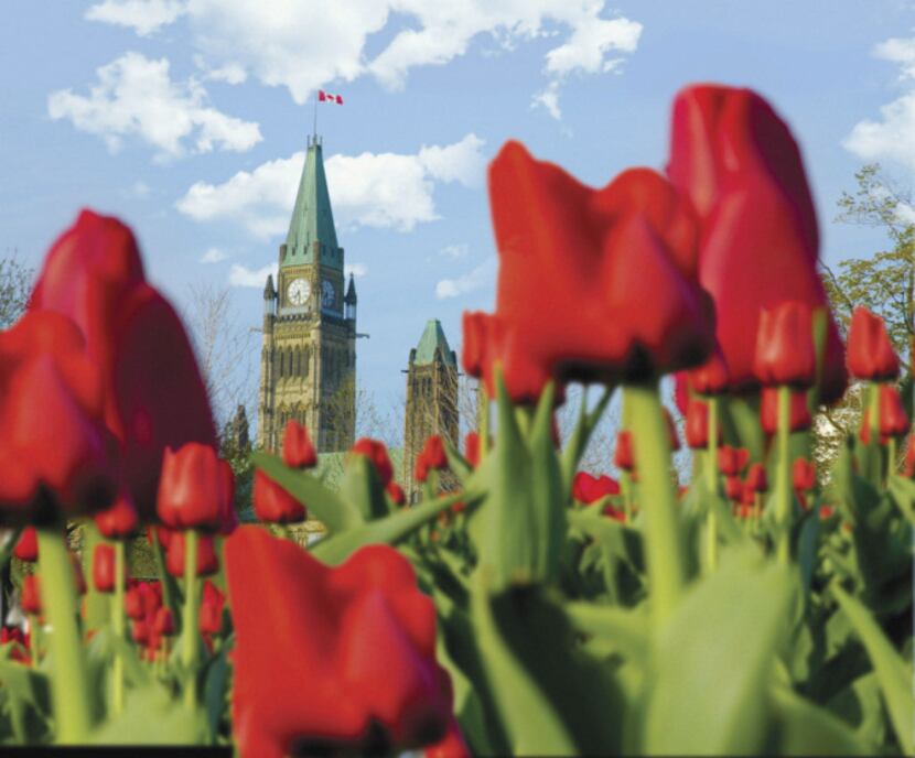 Springtime blooms beautifully on OttawaÕs Parliament Hill.