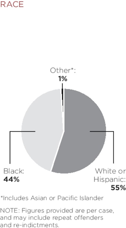 Breakdown of the accused in 2014 Dallas County grand jury cases.