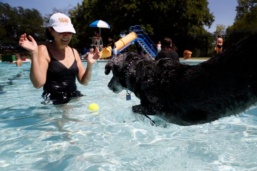
Jean Smith and her dog, Jojo, attended Samuell Grand Pool’s first pooch pool party.


