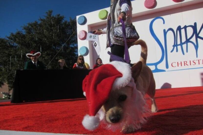 The Hilton Anatole’s Sparkle! Celebration will have a doggy costume contest at 3 p.m. Sunday.