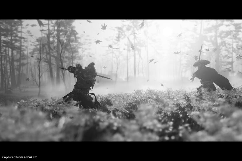 A screenshot taken with the photo mode in 'Ghost of Tsushima' on the PlayStation 4.