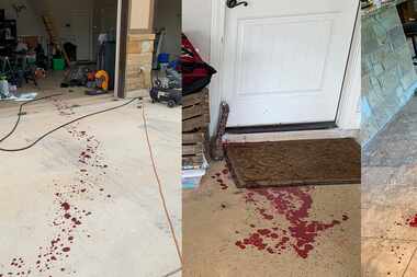 A composite of three photos shows the blood trail left by Scott Mussey as he went inside his...