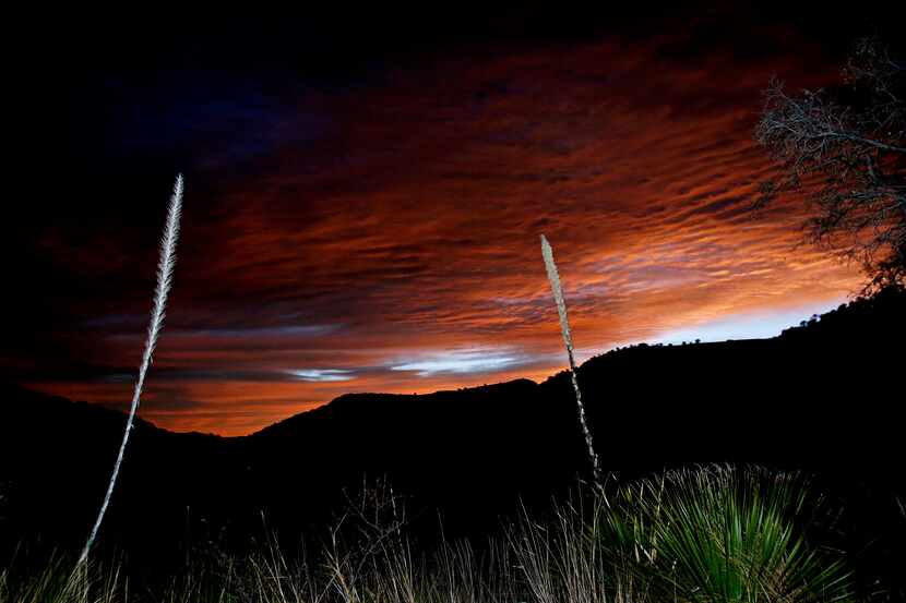 The first light of dawn shows over the mountains from the Indian Lodge in Davis Mountains...