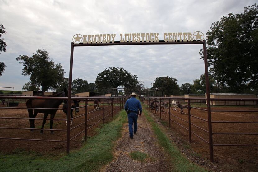 The Dallas County sheriff's Kennedy Livestock Center cares for abandoned and wounded...
