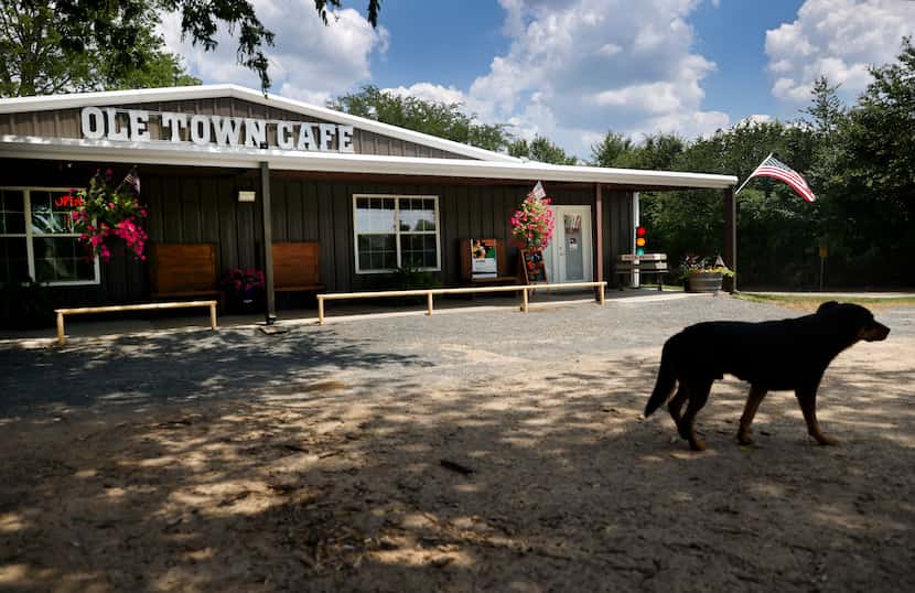A dog paces outside the Ole Town Cafe in Marietta on June 1.