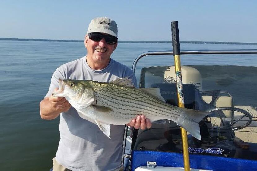 White Bass Fishing - Oklahoma State Fish - Texas - California