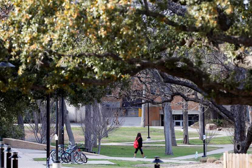 A student walks the campus at the UNT in Denton, on Wednesday, March 18, 2015.
