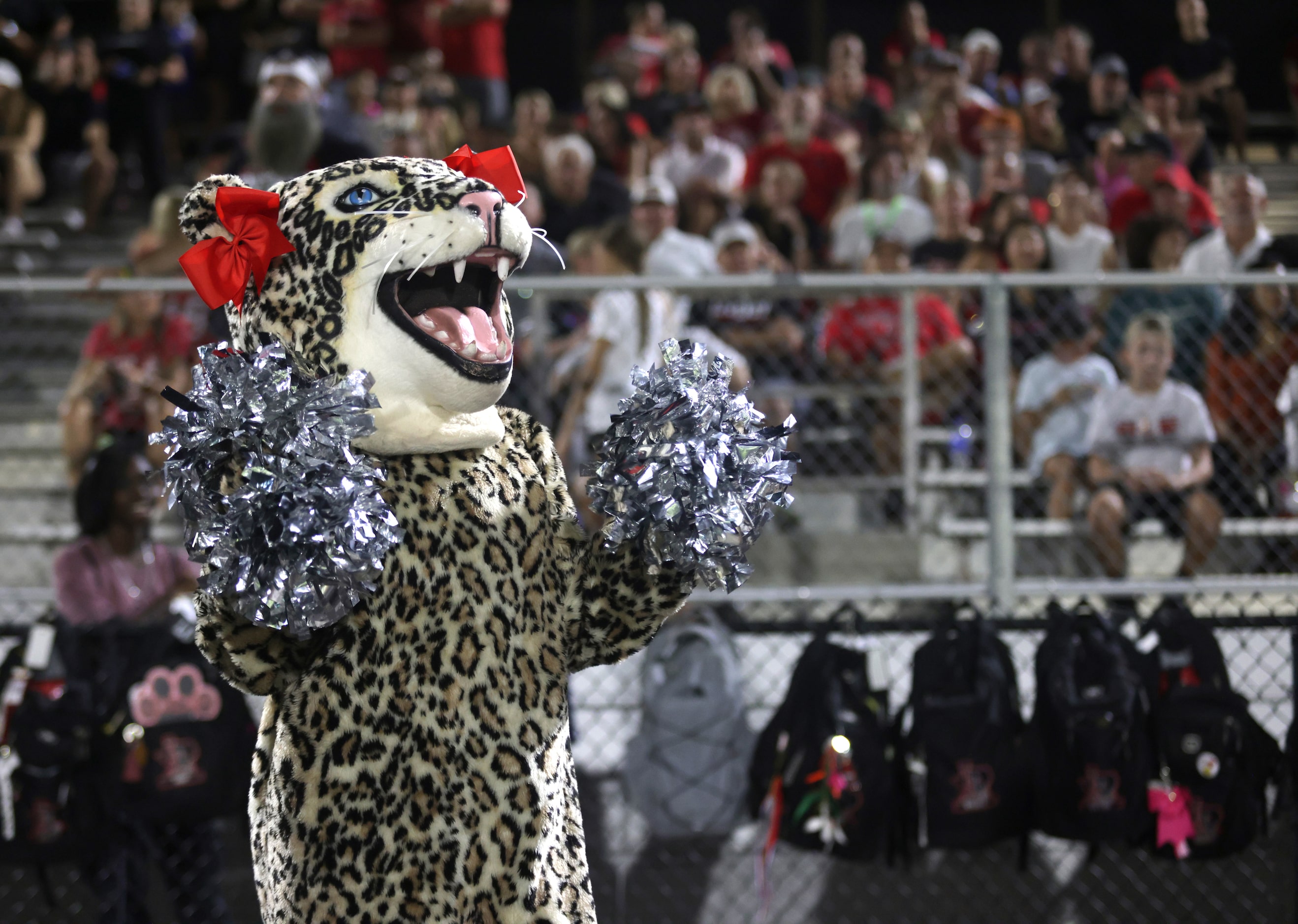 The Lovejoy mascot cheers on the team during the Lovejoy High School at Anna High School...