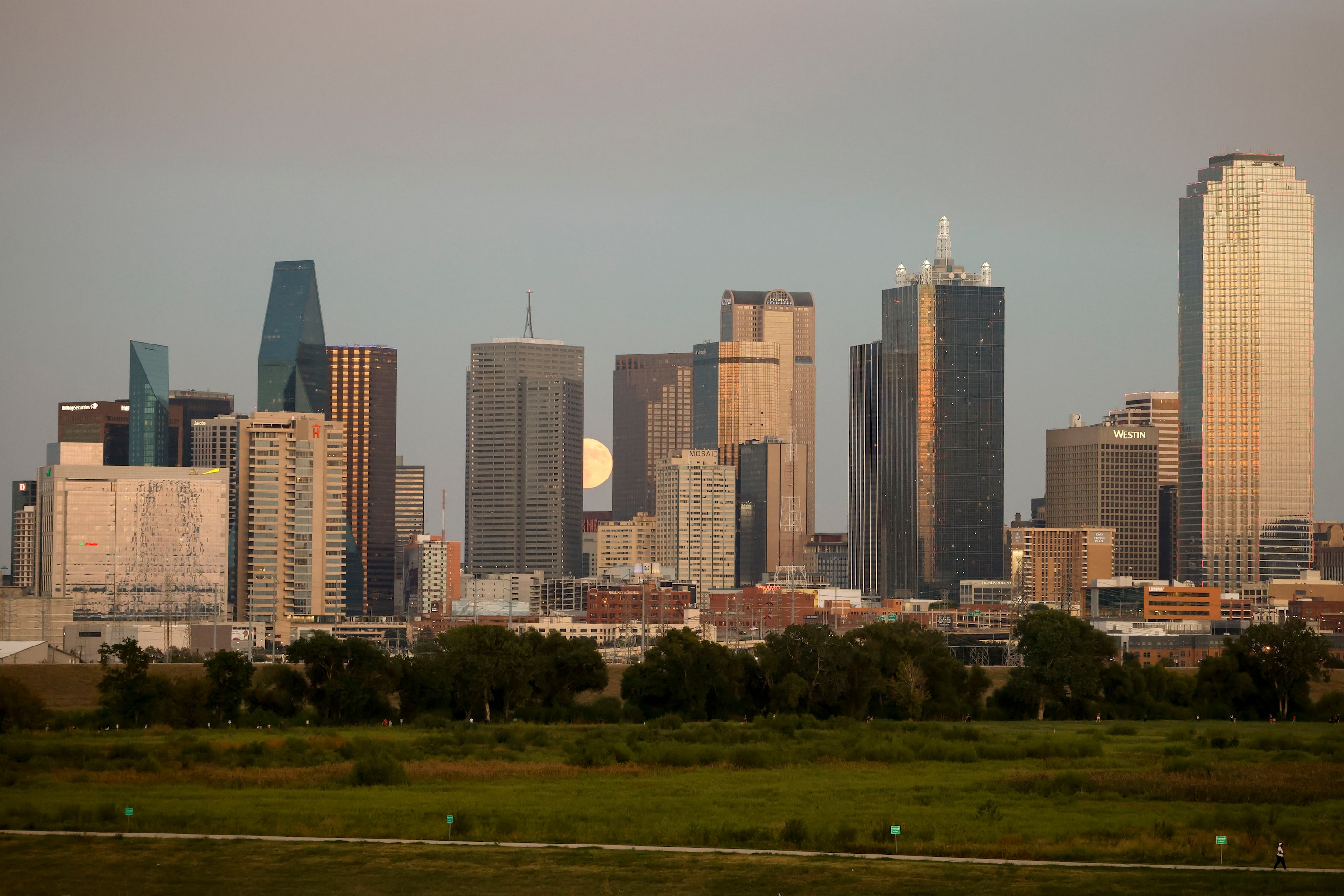 A full super harvest moon rises behind the Dallas skyline, on Tuesday, Sept. 17, 2024. 