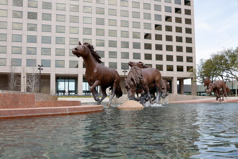 The Mustangs of Las Colinas sculpture by Robert Glen at Williams Square has long been a...